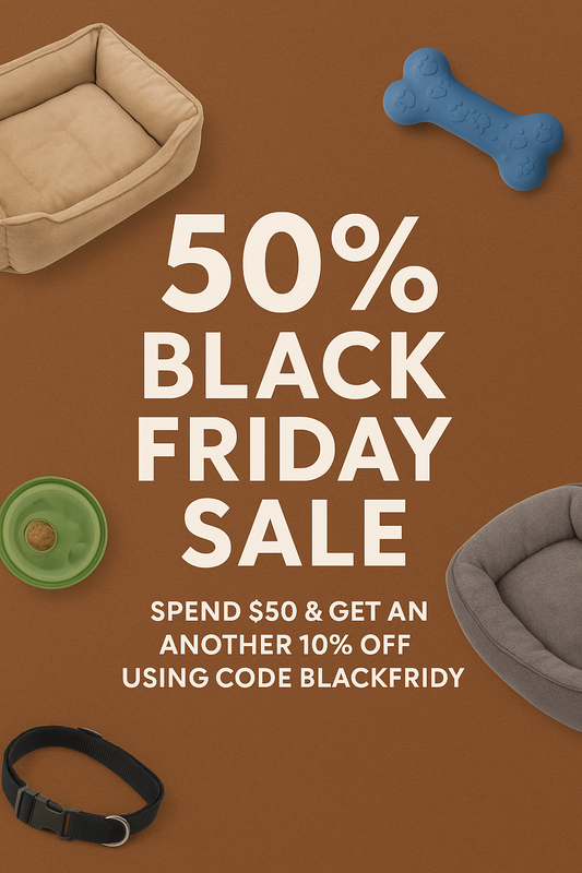 Why Your Pet Deserves the Best: Creating a Happier, Healthier Life for Your Furry Friend