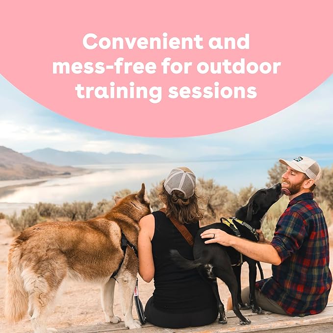 Pamper Your Pet: Everyday Essentials for a Happier, Healthier Life