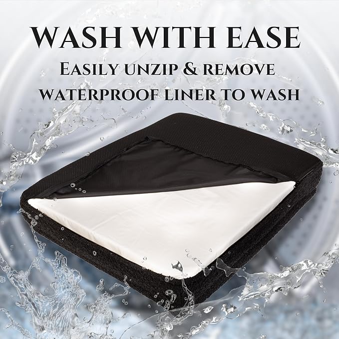 🐾 Elevate Your Pet’s Life: Wellness, Comfort & Fun at Friendly Furry Paws