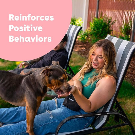 The Secret to a Happier, Healthier Dog: Daily Care Made Simple