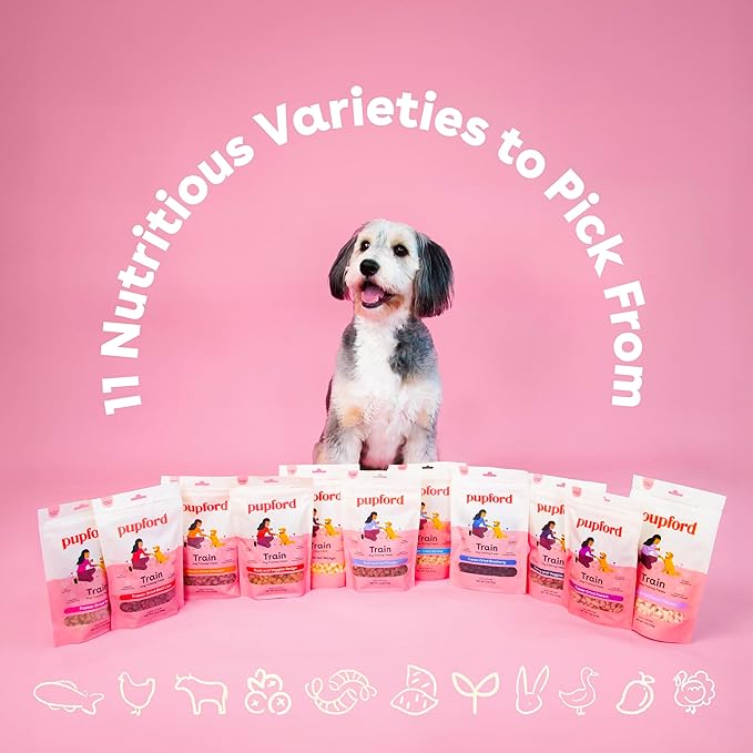 🐾 Welcome to Friendly Furry Paws – Your Pet’s New Best Friend