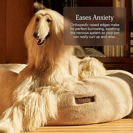 🐾 Welcome to Friendly Furry Paws: Where Pets Feel Like Family