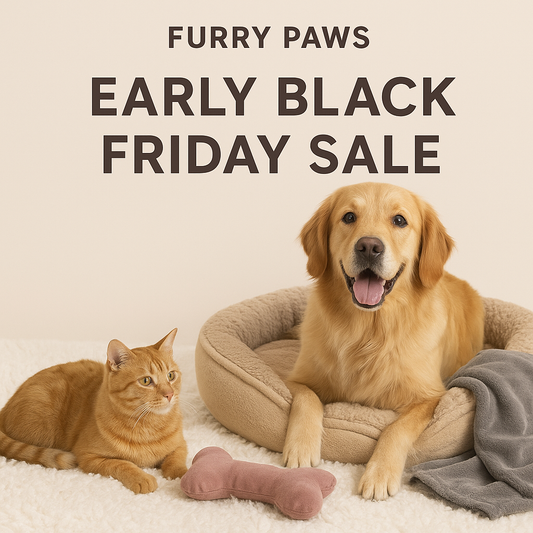Celebrate Every Wag: Furry Paws Early Black Friday Sale is Here!