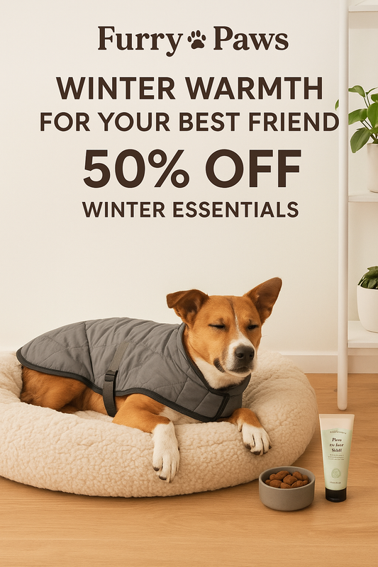 The Ultimate Pet Pamper Day – Because They Deserve It! 💖