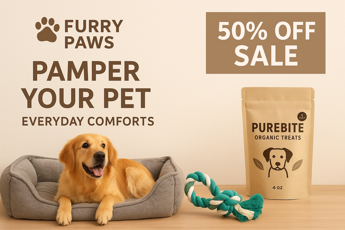 Pamper Your Pet — Everyday Comforts from Furry Paws