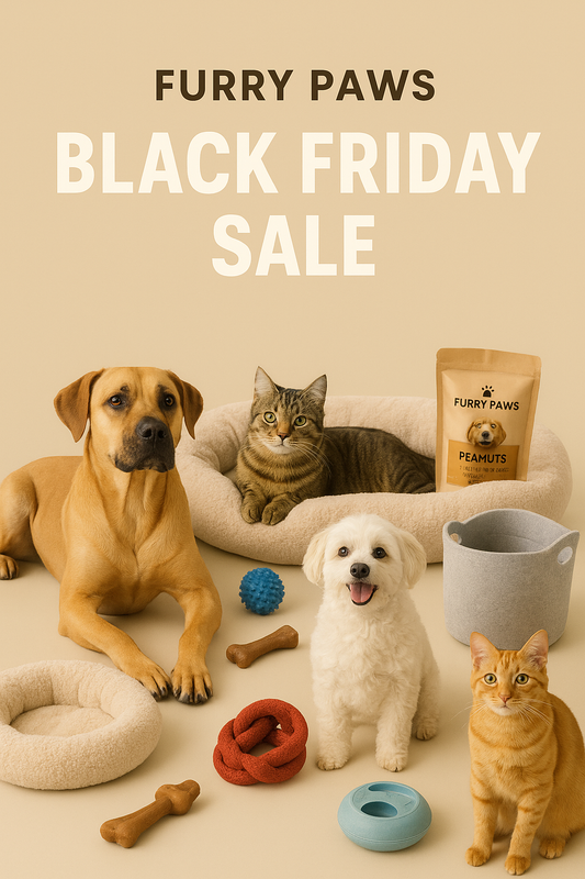 Furry Paws: Celebrate Black Friday with Love, Care, and Tail Wags