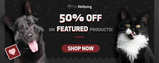 Furry Paws: Creating Happier Homes for Pets & The People Who Love Them