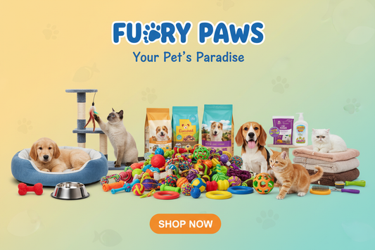 Supporting Pet Wellness for a Happy, Active Life